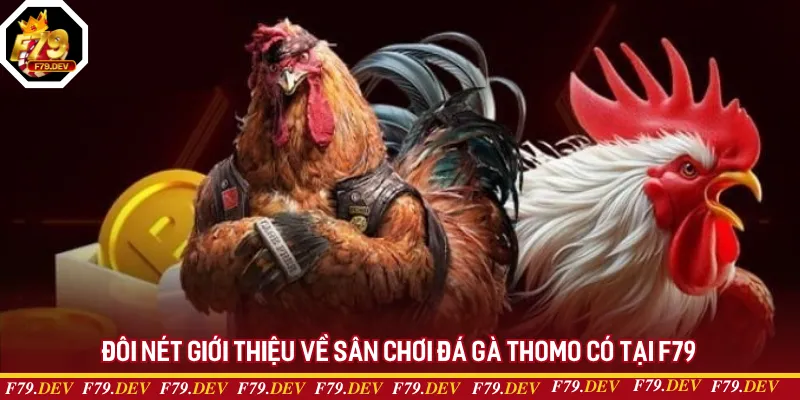 Đôi nét giới thiệu về sân chơi đá gà Thomo có tại F79 Đôi nét giới thiệu về sân chơi đá gà Thomo có tại F79
