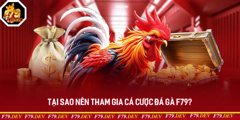 Tại sao nên cá cược chiến kê F79?